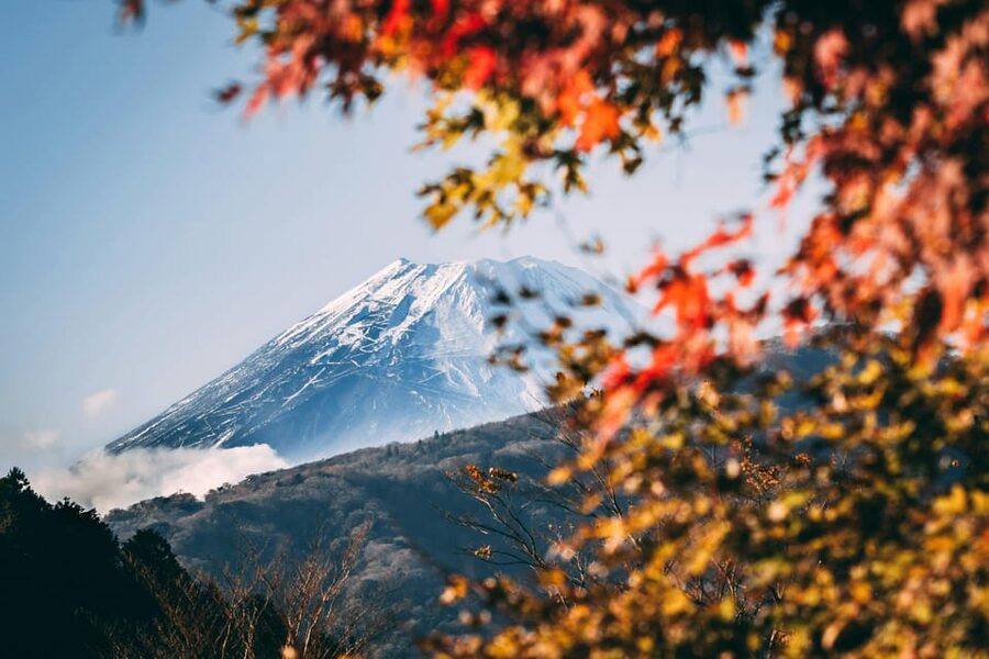 1-Day Mt Fuji and Hakone Sightseeing trip from Tokyo - Key things to know before you go