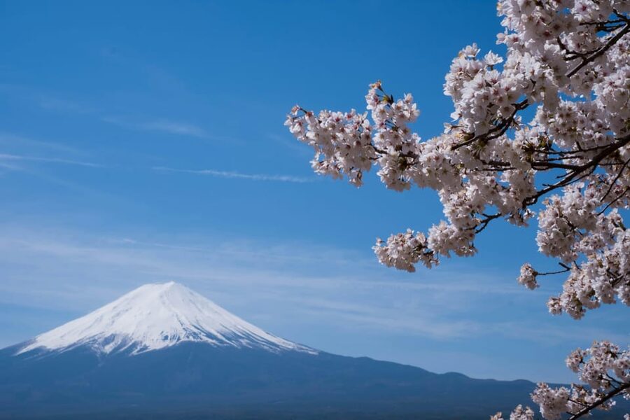 1-Day Mt Fuji and Hakone Sightseeing trip from Tokyo - What you’re really paying for on this Mt Fuji and Hakone day