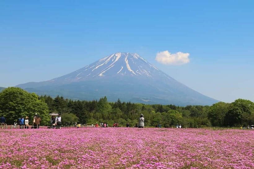 1-Day Mt Fuji and Hakone Sightseeing trip from Tokyo - Chureito Pagoda photo stop: quick walk, big framing goals