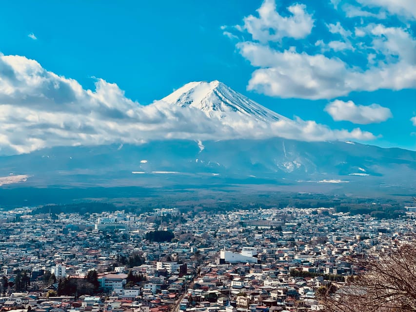 1-Day Mt Fuji and Hakone Sightseeing trip from Tokyo - Price and logistics: private car value at $322 per group