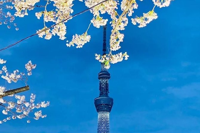 1 Day Private Charter Tokyo Tour (Green Number Plates) - The 8-hour route that actually feels like Tokyo