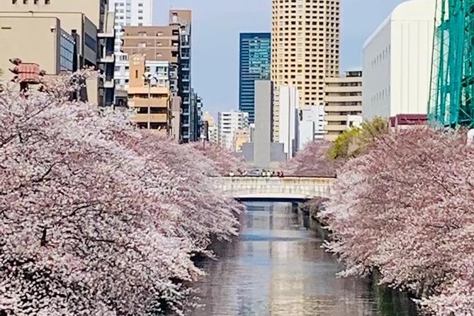 1 Day Private Charter Tokyo Tour (Green Number Plates) - Tokyo Skytree time: views first, ticket costs separately