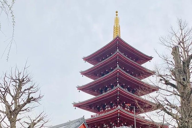 1 Day Private Charter Tokyo Tour (Green Number Plates) - Meiji Jingu Shrine plus Harajuku: calm shrine time then fashion energy