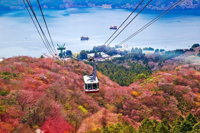 1 Day Private Tour to Hakone-Gotemba With English Speaking Driver - Food and timing: what you should plan since meals are not included
