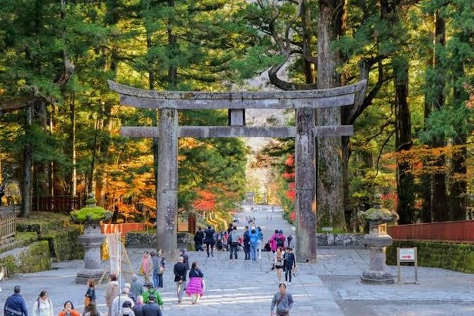 1- Day Private Tour to Nikko Tochigi With English Speaking Driver - Price and Value: What $539 Per Group Really Buys You