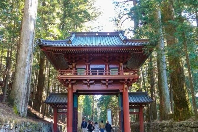 1- Day Private Tour to Nikko Tochigi With English Speaking Driver - Your Driver Sets the Rhythm, Not the Hassle