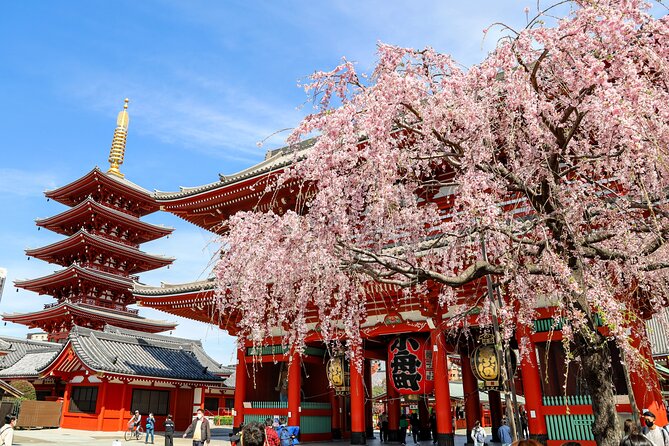 1-Day Tokyo Bus Tour - Key things to know before you go