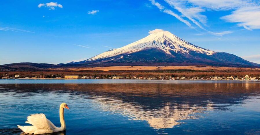 1-Day trip: Mt Fuji + Kawaguchi Lake area - Choosing your Fuji viewpoints: Oishi Park and Arakurayama Chureito area