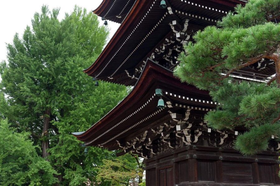 1-Day trip: Mt Fuji + Kawaguchi Lake area - Price and value: what you’re really paying for at $539 per group