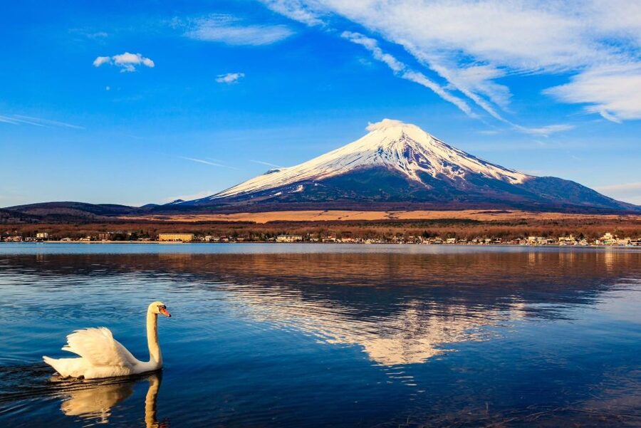 1-Day trip: Mt Fuji + Kawaguchi Lake area - How the 10-hour private plan runs from Tokyo