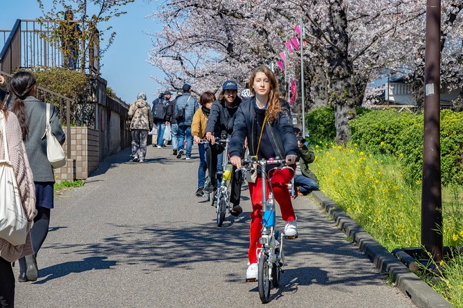 2.5 Hour-Guided Cycle Tour in the Central Tokyo - Why this 2.5-hour central Tokyo route feels like a local afternoon