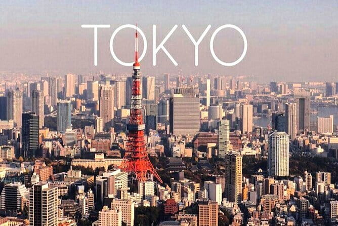 2 Days Tokyo ,Mount Fuji / Hakone Private Tour from Tokyo - Timing, crowds, and the one real downside to expect