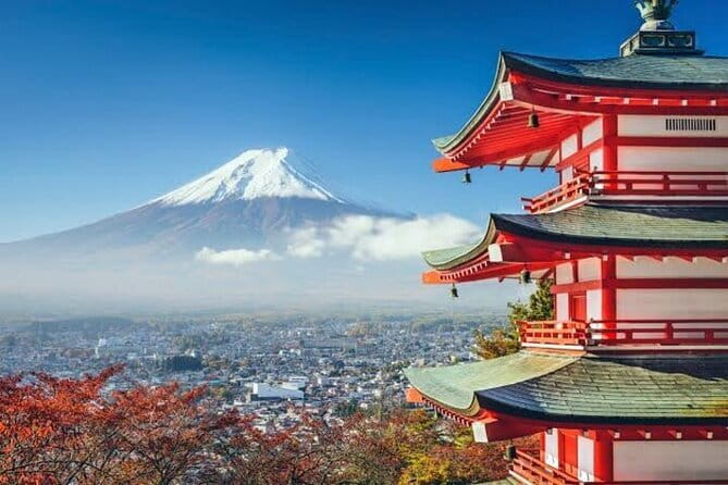 2 Days Tokyo ,Mount Fuji / Hakone Private Tour from Tokyo - Who should book this Tokyo and Hakone private tour
