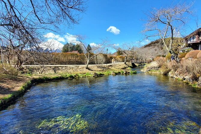 2 Days Tokyo ,Mount Fuji / Hakone Private Tour from Tokyo - Should you book this Tokyo to Hakone private tour?