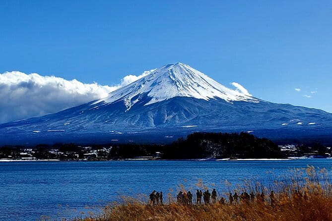 2 Days Tokyo ,Mount Fuji / Hakone Private Tour from Tokyo - Day 2: Fuji chances at Chureito Pagoda, Oshino Hakkai, Lake Ashinoko, Hakone