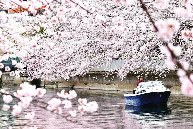 2 Hours Private Cruising Boat Tour;Tokyo Bay & River - Boat comfort, snacks, and bringing your own celebration