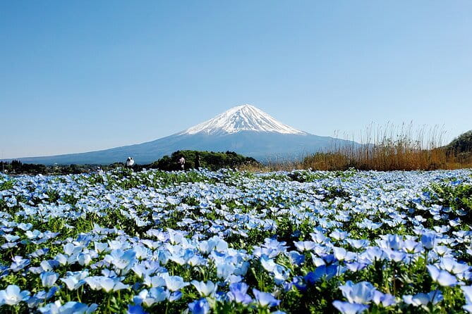 3 Days Tokyo, Mt. Fuji and Hakone Private Tour from Tokyo - Key things to know before you go