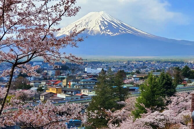 3 Days Tokyo, Mt. Fuji and Hakone Private Tour from Tokyo - Why this 3-day Tokyo, Mount Fuji and Hakone plan feels easier than DIY