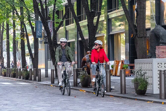 3-Hour Tokyo Private E-Bike Tour Starting from Your Hotel - Key Things That Make This Tour Worth Your Time
