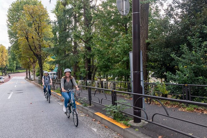 3-Hour Tokyo Private E-Bike Tour Starting from Your Hotel - Yoyogi Park and Ueno Park: Breathing Space Inside a Tight City