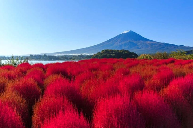 3-Row Luxury Bus Tour to Mt. Fuji, Lake Kawaguchi from Tokyo - Price and Value: $125 for Fuji Views, Lunch, and Tickets