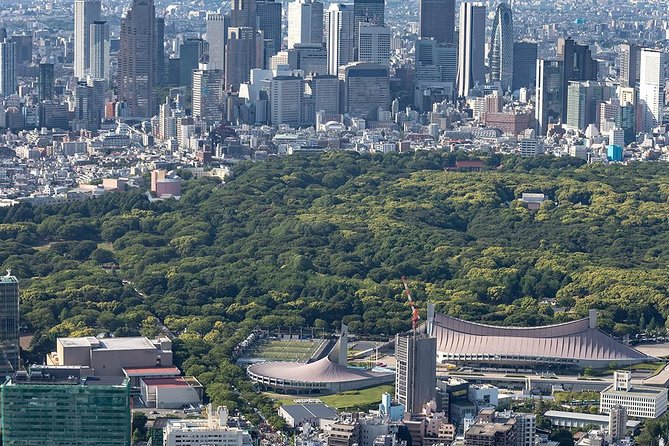 30-Min Tokyo Central Private Heli Tour– Asakusa, Skytree, Shibuya - Asakusa and Skytree views, plus the best way to enjoy the flight