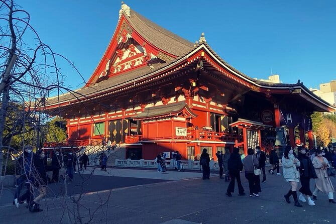 5-Hour Tokyo Private Layover Tour from Haneda Airport - Price and value, what $431.55 buys you