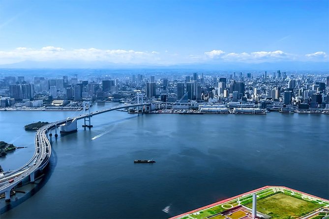 75-Min Mt. Fuji Half Day Private Helicopter Tour - Who Should Book This, and Who Should Skip It