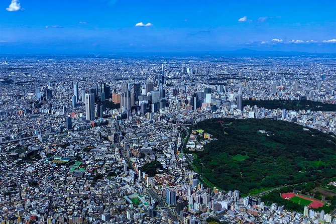 75-Min Mt. Fuji Half Day Private Helicopter Tour - Should You Book This 75-Min Mt. Fuji Half Day Private Helicopter Tour?