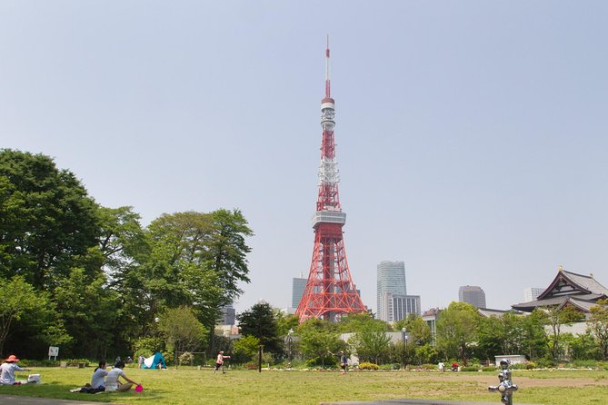 8-hour Tokyo tour by qualified tour guide using public transport - Asakusa and Sensoji Temple, plus Nakamise-dori shopping time