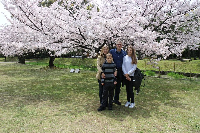 8-hour Tokyo tour by qualified tour guide using public transport - Tsukiji Outer Market for quick browsing and food shopping