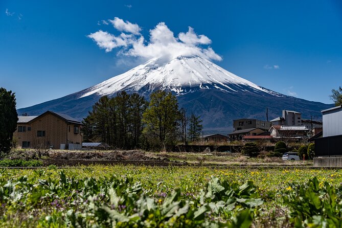 A class on Making Hoto, Yamanashi's Traditional Dish - Should you book the hoto cooking class near Mt. Fuji?