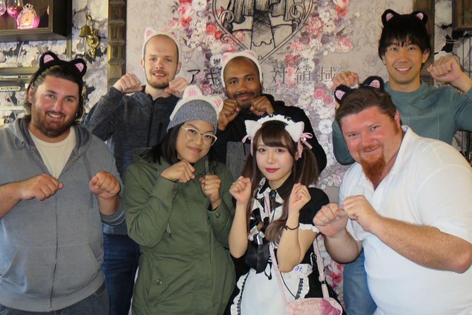 Akihabara Anime & Game Adventure Walking Tour (Group or Private) - Meeting at Akihabara Electric Town Gate, then letting the guide steer