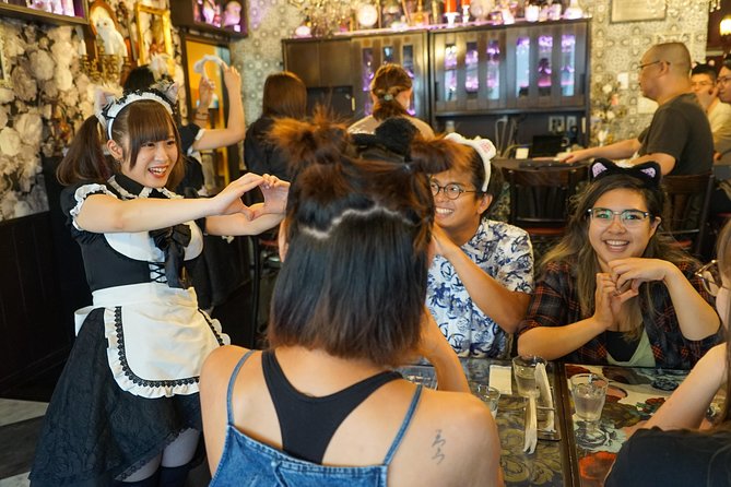 Akihabara Anime & Game Adventure Walking Tour (Group or Private) - Akiba Cultures Zone: Anime goods, idol culture, and the subculture feel
