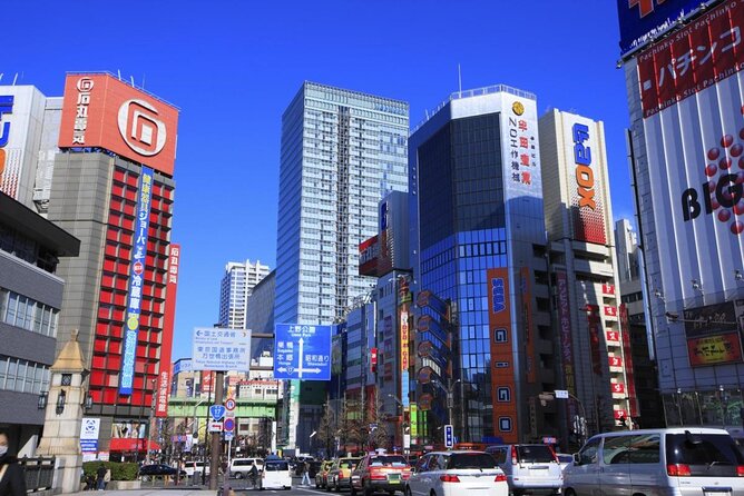 Akihabara Flavors and Anime Fun Private Guided Tour for All Ages - Key highlights you will feel right away