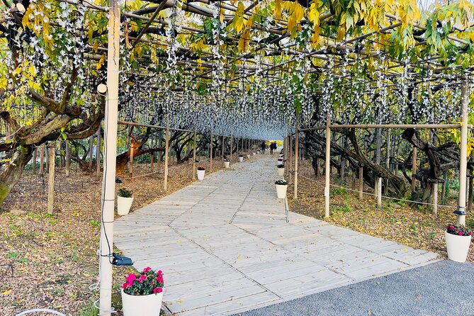 Ashikaga Flowers Park Pvt. One Day Tour with Pickup - Ashikaga Art Museum: Modern Exhibits in a Calm Setting