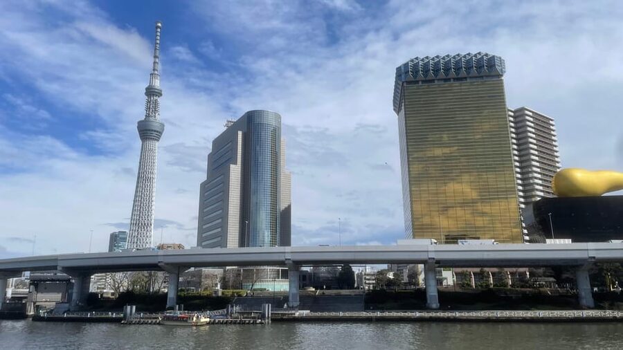 Awesome Private Tour: Tsukiji, Asakusa, Shinjuku, Shibuya - Key things you’ll notice right away
