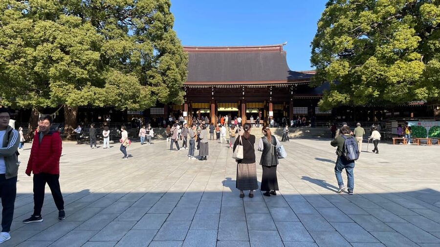 Awesome Private Tour: Tsukiji, Asakusa, Shinjuku, Shibuya - Price and time: what $116 buys you, and what you still pay