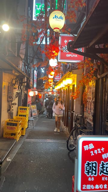 Awesome Private Tour: Tsukiji, Asakusa, Shinjuku, Shibuya - Akihabara and Ueno: pop culture and art-or-nature choices in the same arc
