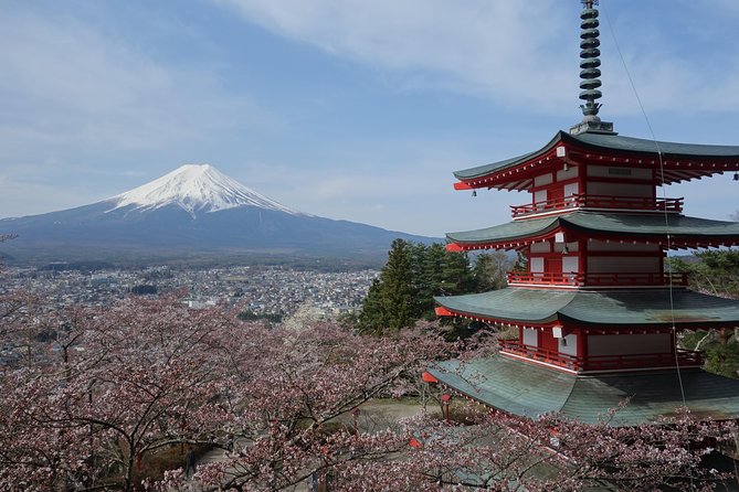 Barrier-Free Private Mt. Fuji Tour for Wheelchair Users - From Tokyo to Mt. Fuji in comfort, without the usual scramble