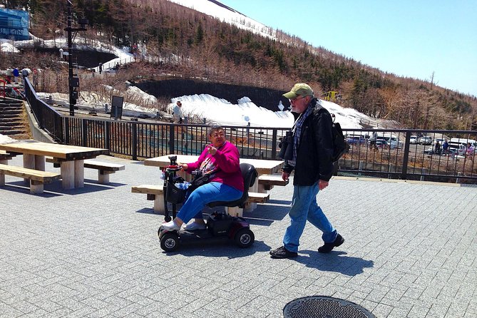 Barrier-Free Private Mt. Fuji Tour for Wheelchair Users - Museum time: Kubota Itchiku Art Museum versus Music Forest Museum