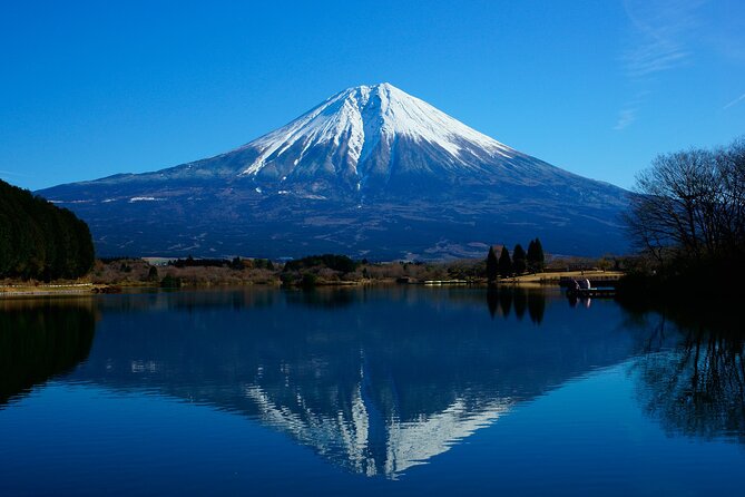 Best Mt Fuji and Hakone Full-Day Bus Tour from Tokyo - Mt. Fuji 5th Station: the morning photo stop with real altitude