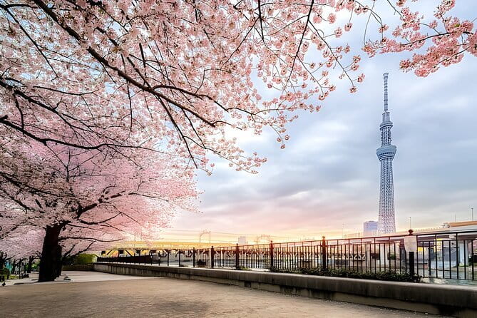 Best of Tokyo Private Tour English Driver &Customizable Itinerary - Stop 2: Tokyo Skytree for a big-city view (about 1 hour 30 minutes)