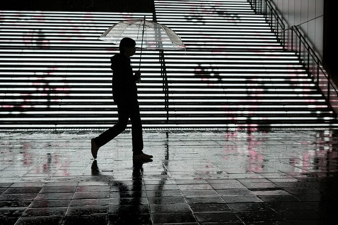 Blade Runner photo workshop in Shibuya with Laurence Bouchard - Shibuya’s Crossing and Panning Shots, How to Photograph Motion