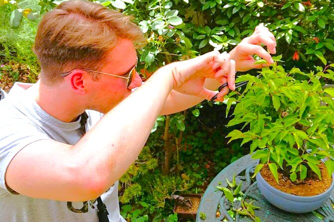 Bonsai Tour & Experience at the Most Sacred City for Bonsai in JP - Key highlights you will feel immediately