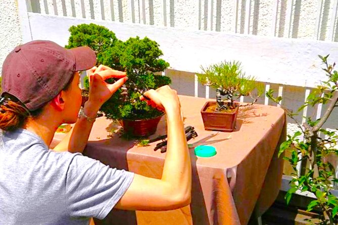 Bonsai Tour & Experience at the Most Sacred City for Bonsai in JP - Bonsai-cho is where bonsai actually lives