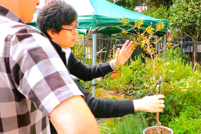 Bonsai Tour & Experience at the Most Sacred City for Bonsai in JP - Price of $55.52: when it is good value, and when it is not