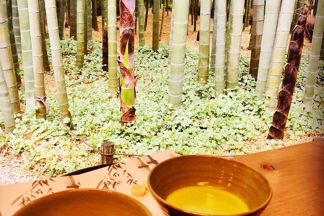 Buddha, Bamboo & Zen - Bespoke Kamakura Private Walking Tours - Kotoku-in and the Great Buddha of Kamakura: The Big Icon First