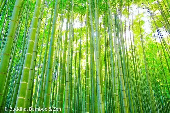 Buddha, Bamboo & Zen - Bespoke Kamakura Private Walking Tours - Meeting at Kamakura Station, Then Letting the Day Unfold