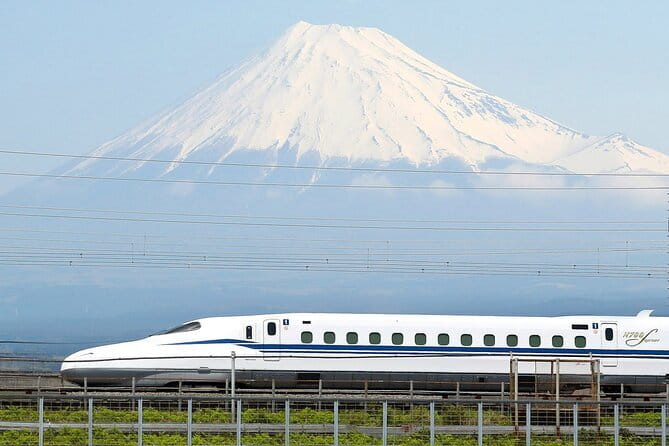 Bullet Train Experience & Mishima Shrine Private Tour from Tokyo - Key takeaways before you book Mishima by Shinkansen